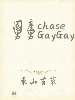 国产chase男男GayGay封面