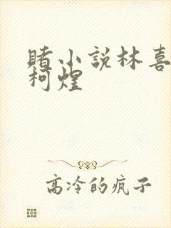 赌小说林喜朝和柯煜