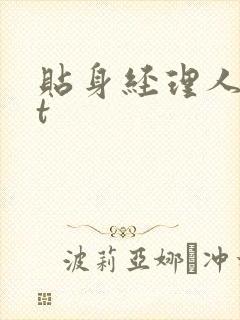 贴身经理人txt