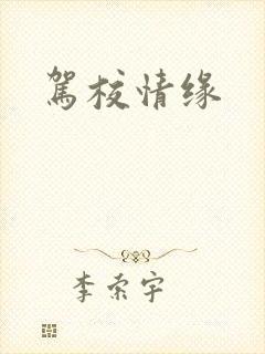 驾校情缘封面