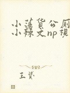 小荡货公厕h文小辣文np视频