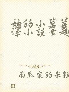 她的小草莓魏承泽小说笔趣阁
