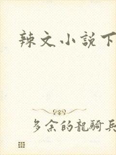 辣文小说下载