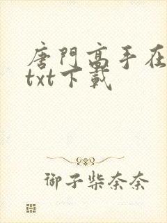 唐门高手在异世txt下载