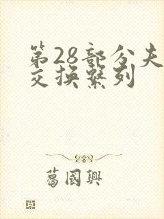 第28部分夫妇交换系列