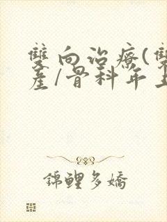 双向治疗(双/产/骨科年上)