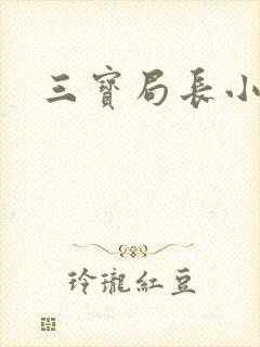 三宝局长小说