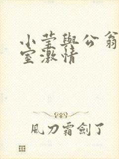 小莹与公翁办公室激情