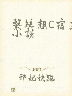 系统想C宿主的小说