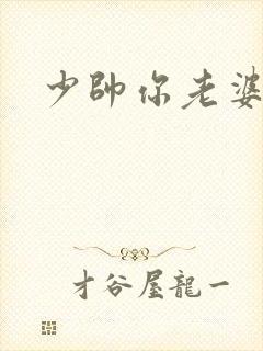 少帅你老婆