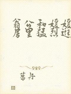 翁公和媛媛在厨房里猛烈进出