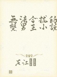 无法合拢的总裁双男主小说