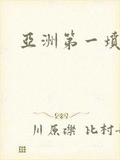 亚洲第一坟封面