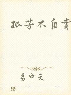 孤芳不自赏小说