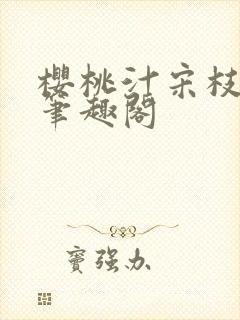 樱桃汁宋枝江野笔趣阁封面