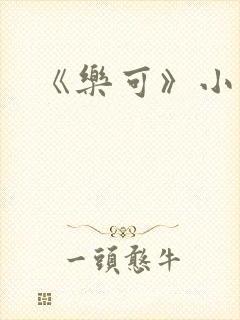 《乐可》小说