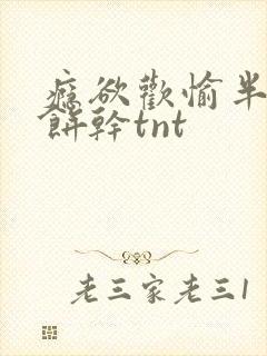 瘾欲欢愉半块小饼干tnt