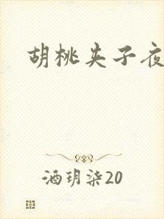 胡桃夹子夜未眠