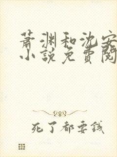 萧渊和沈安安的小说免费阅读