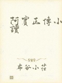 阿宾正传小说在读