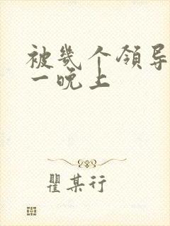 被几个领导玩弄一晚上
