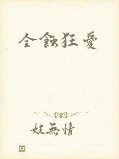全蚀狂爱封面