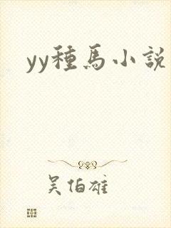 yy种马小说封面