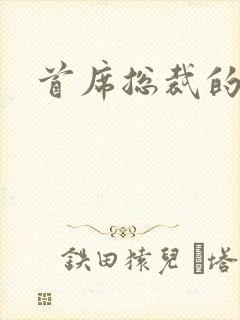 首席总裁的逃妻封面