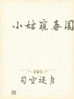 小姑窥春图封面