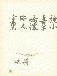会所娇妻被多个黑人怀孕小说封面