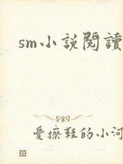 sm小说阅读