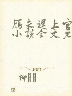 雁未迟上官穿越小说全文免费阅读