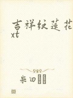 吉祥纹莲花楼txt封面