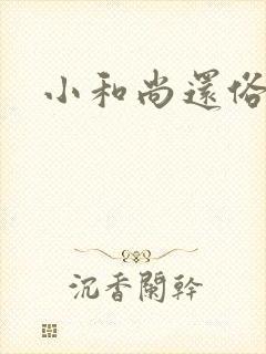 小和尚还俗记