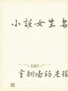 小说女生名字