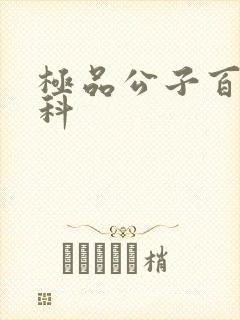极品公子百度百科封面