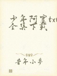 少年阿宾txt全集下载