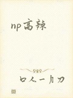 np高辣