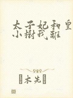 太子妃和皇上在小树我离封面