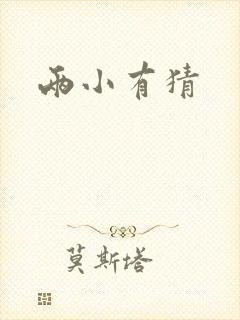 两小有猜