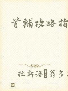 首辅攻略指南