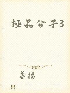 极品公子3封面
