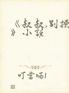 《叔叔,别撩我》小说