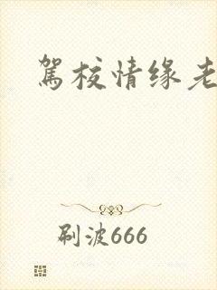 驾校情缘老赵