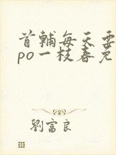 首辅每天要不够po一枝春免费阅读封面