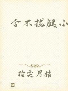 合不拢腿小说