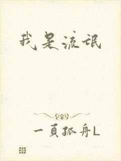 我是流氓