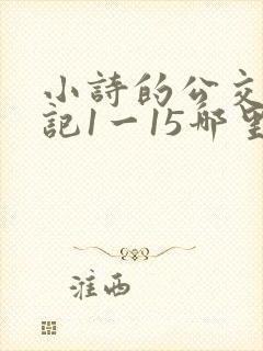 小诗的公交车日记1一15哪里能看