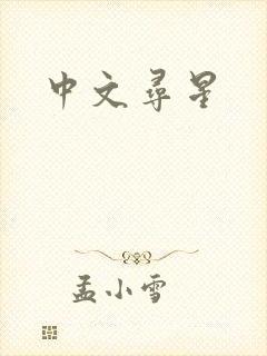 中文寻星封面