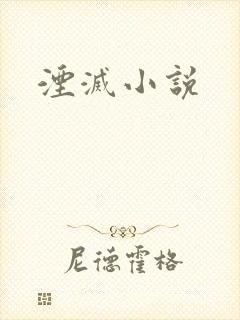 湮灭小说